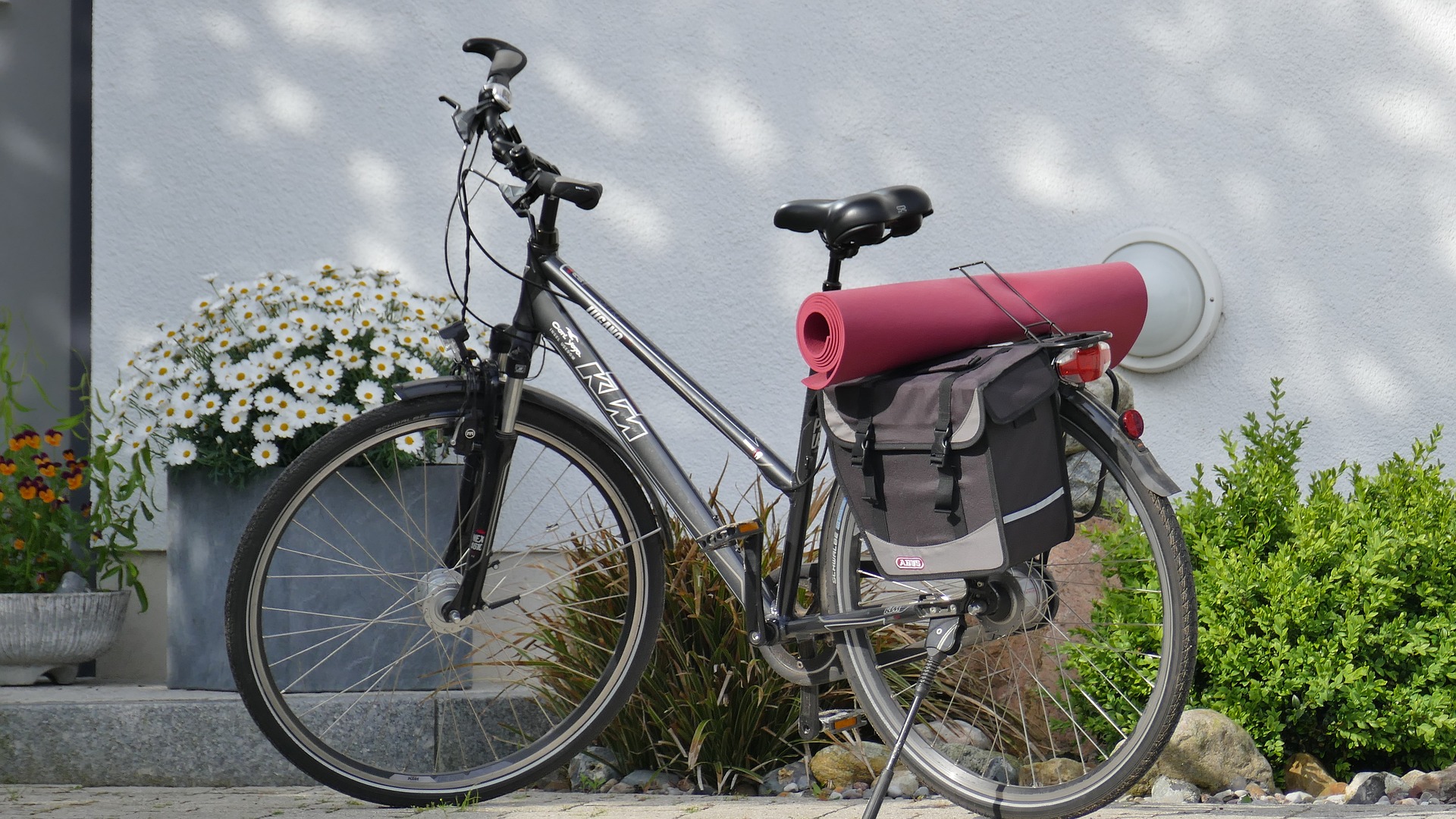 Bicycle parked next plants